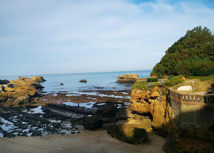 מלון Alfred Port-vieux