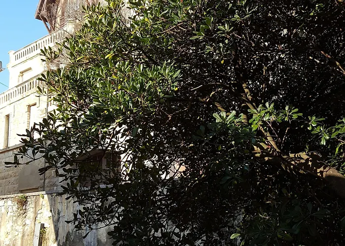 Alfred Port-vieux מלון