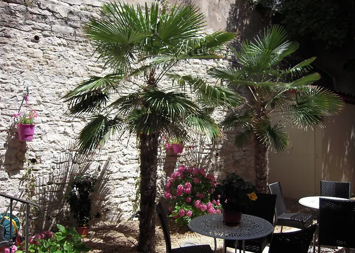 Szálloda Alfred Port-vieux 3*