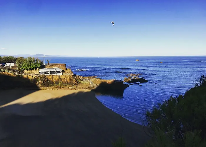 Alfred Port-vieux 3*