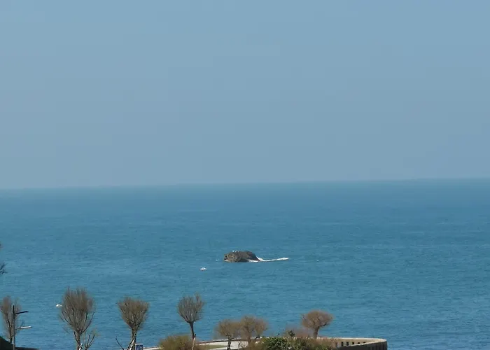 Alfred Port-vieux Hotel 3*